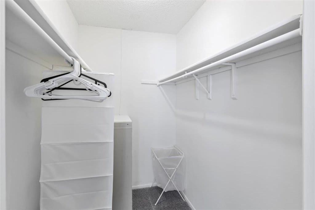 Special Apartment 1Br With Gym And Parking Bradenton Kültér fotó
